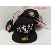 High Quality Unisex Baseball Cap With Embroidered AA Street Style Flat Brim Hat Fall Winter