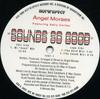 12-дюймовая пластинка ANGEL MORAES, KELLI SAE & SALLY COR - Sounds So Good 12971 Hot 'N' Spycy 1996 US Танцевальная и Электронная Музыка Б/У