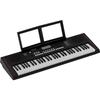 Roland E-X10 Electronic Arranger Keyboard, Easy Operation, 61 Keys, Auto Accompaniment, Microphone Input, Recording Function, Battery Operation, Perfe