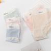 Simple, No Traces, Teenage Panties, Mid-rise Underwear, Women's Briefs