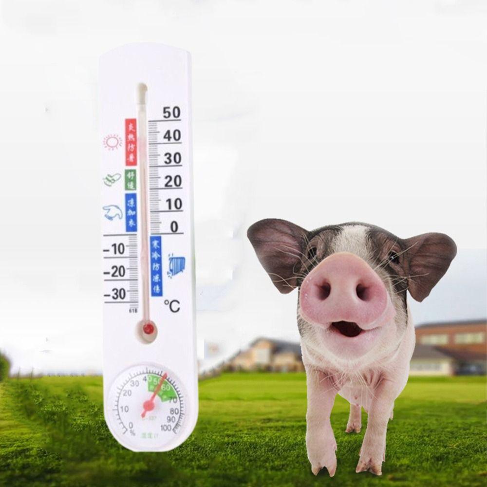 Высокоточный гигрометр Настенный термометр Прочный измеритель влажности Террариум