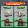 BANDAI SPIRITS Планозавр Спинозавр Пластиковая модель Предварительно окрашенная
