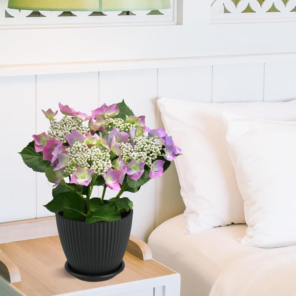 Пластиковые круглые цветочные горшки с поддоном для домашних растений, террасы, сада и т. д. | Упаковка из 05 штук | Черный | Размер 6,5 дюйма