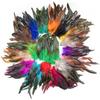 50/100pcs Natural Pheasant Rooster Feathers 10-15cm Colored Cock Plumes for Handicrafts Needlework Dream Catcher Accessories
