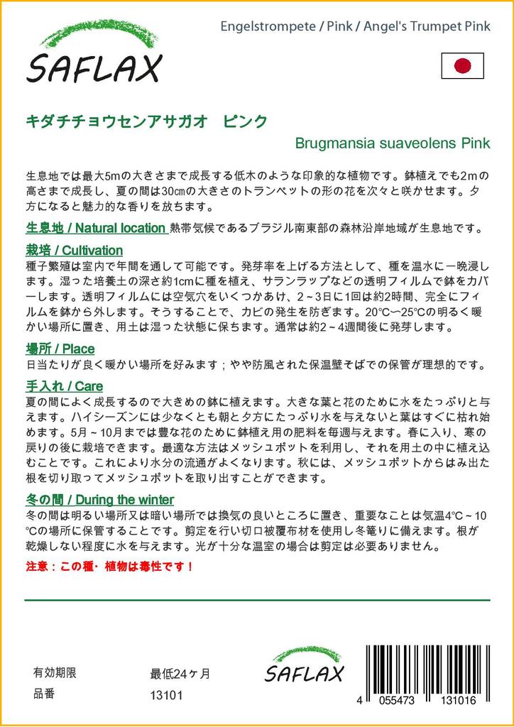 SAFLAX Angel's Trumpet Pink - 10 семян - Brugmansia suaveolens Pink