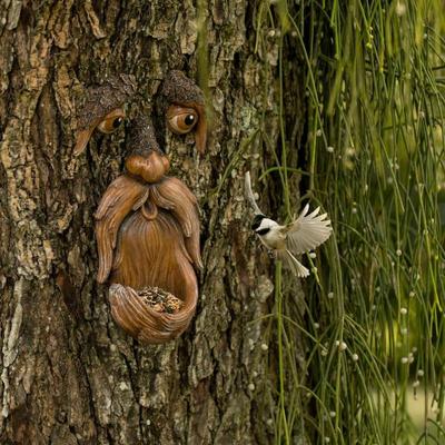 Садовый декор в виде лица дерева – кормушка для птиц Tree Hugger – дворовое искусство – подарок для папы – украшения для улицы из дерева – садовая скульптура – волшебное лицо для дерева