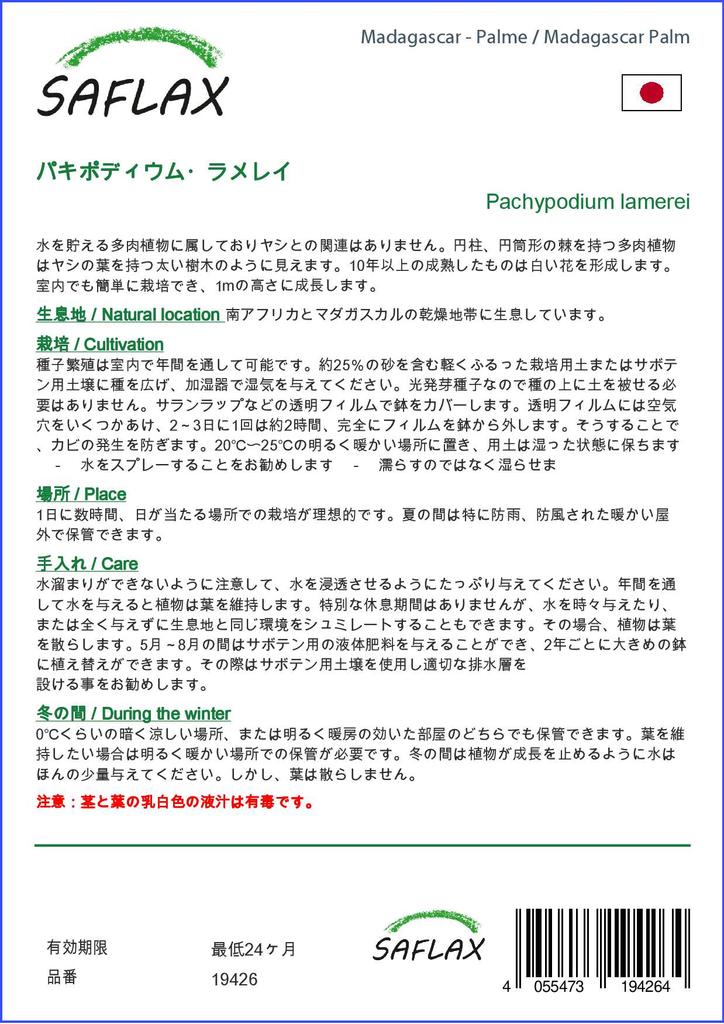 SAFLAX Garden in the Bag - Мадагаскарская пальма - 10 семян - С субстратом в подходящем пакете - Pachypodium lamerei