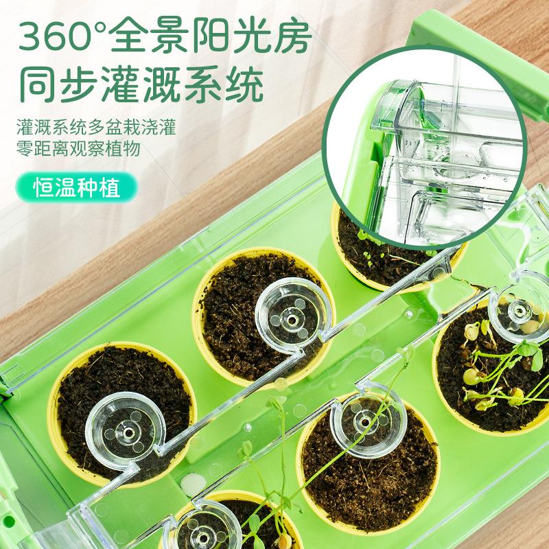 Xueyouma Sunshine House Planting Детские игрушки для овощей Научный эксперимент Растение в горшке Ручная работа Материал для поделок Растение Цветочный дом