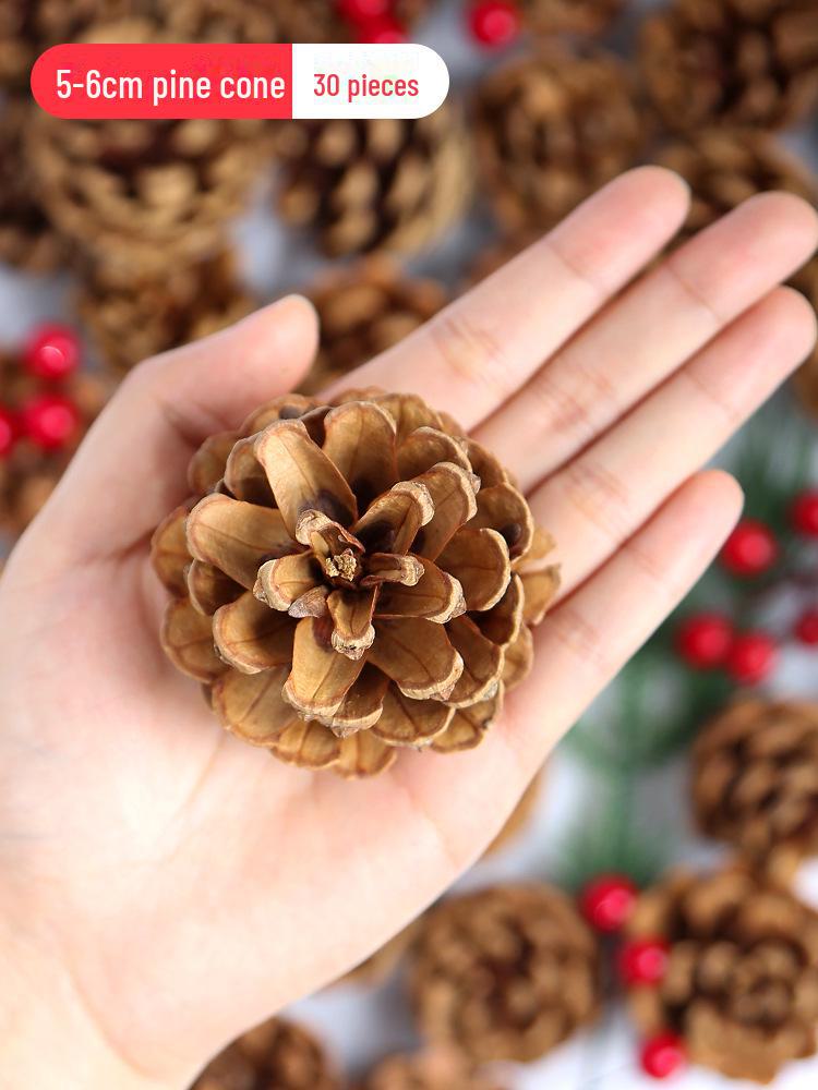 Pine Cone DIY Decoration Kit: Branch, Log, Dried Flowers for Creative Kindergarten Hanging Crafts