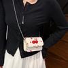 Cute and Beautiful Cherry Trend Chain Fashion Shoulder Bag Versatile Sweet Exquisite Temperament New Messenger Bag