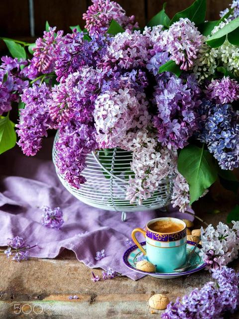 Алмазная картина велосипед Алмазная вышивка мозаика цветок вышивка крестом мозаика ремесла комплект украшения дома