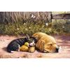 Diamond Painting Cross Stitch Sleeping Puppy And Kitten Round Needlework Craft Diamond Embroidery
