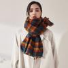 5-Color 2024 Autumn/Winter New Fashionable Warm Shawl Imitation Cashmere Tassel Thickened Neck Decoration Classic Checkered Printed Long Scarf