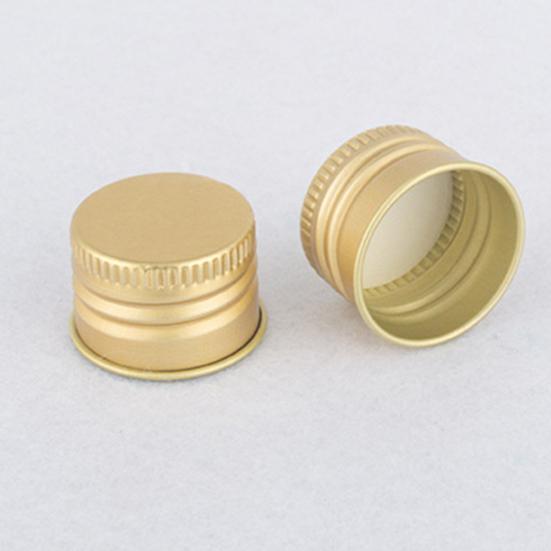 40ml-250ml Aluminum Bottle Storage Lotion Sanitizer Liquid Soap Cap Container