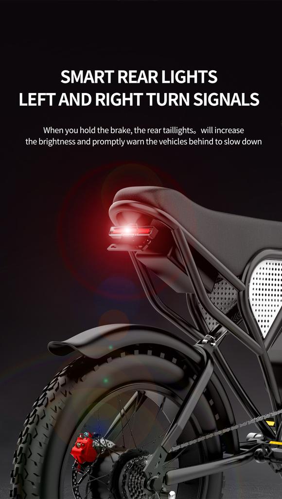 Электрический велосипед Ridstar Q20, 1000 Вт, 48 В, 20 Ач, водонепроницаемый, мощный двойной двигатель, 20*4,0, толстая шина для горного электрического велосипеда для взрослых