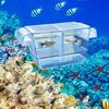 with Suction Cups Aquarium Breeder Box Fish Isolation Box Fish Baby Hatchery Fish Breeding Box
