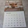 Highland Cow Calendar 2026 Scottish Cow Wall Calendar Hanging Monthly Planner Animal Calendar for Farmhouse Home Wall Decor