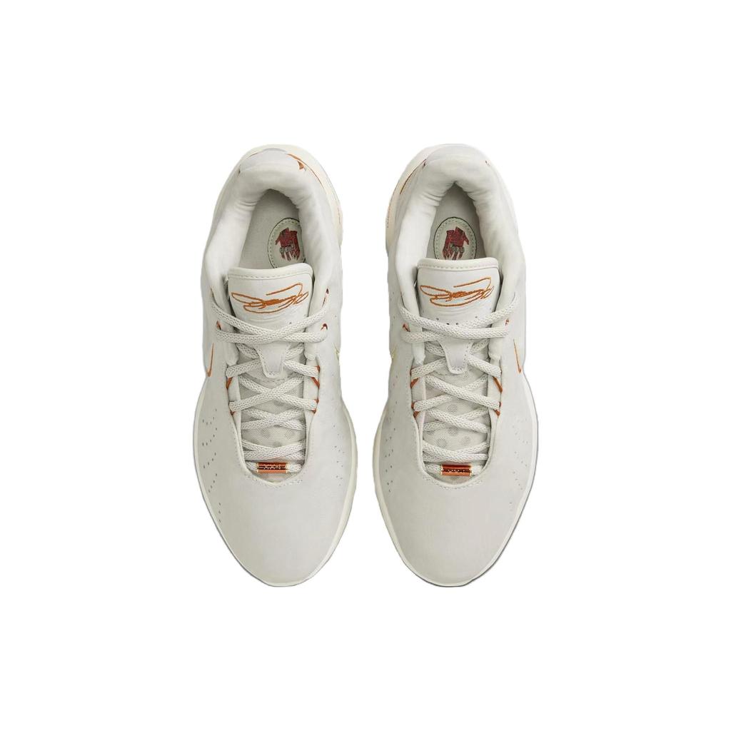 Nike Кроссовки унисекс LeBron 21 EP Akoya White Light-Bone Coconut-Milk FV2346-001