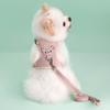 Pet Dog Harness Lead Leash Set Adjustable Puppy Kitten Vest Harness Small Medium Dog Cat Collar Chihuahua Pet Dog Accessories