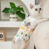 Железная стена Друзья Кошка Стерилизация Костюм L