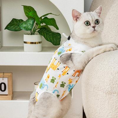 Железная стена Друзья Кошка Стерилизация Костюм L