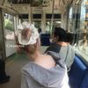 2 шт. Милые шифоновые резинки для волос в горошек для женщин и девочек, эластичные резинки для волос, аксессуары, резинка для волос, веревка, головной убор, украшение