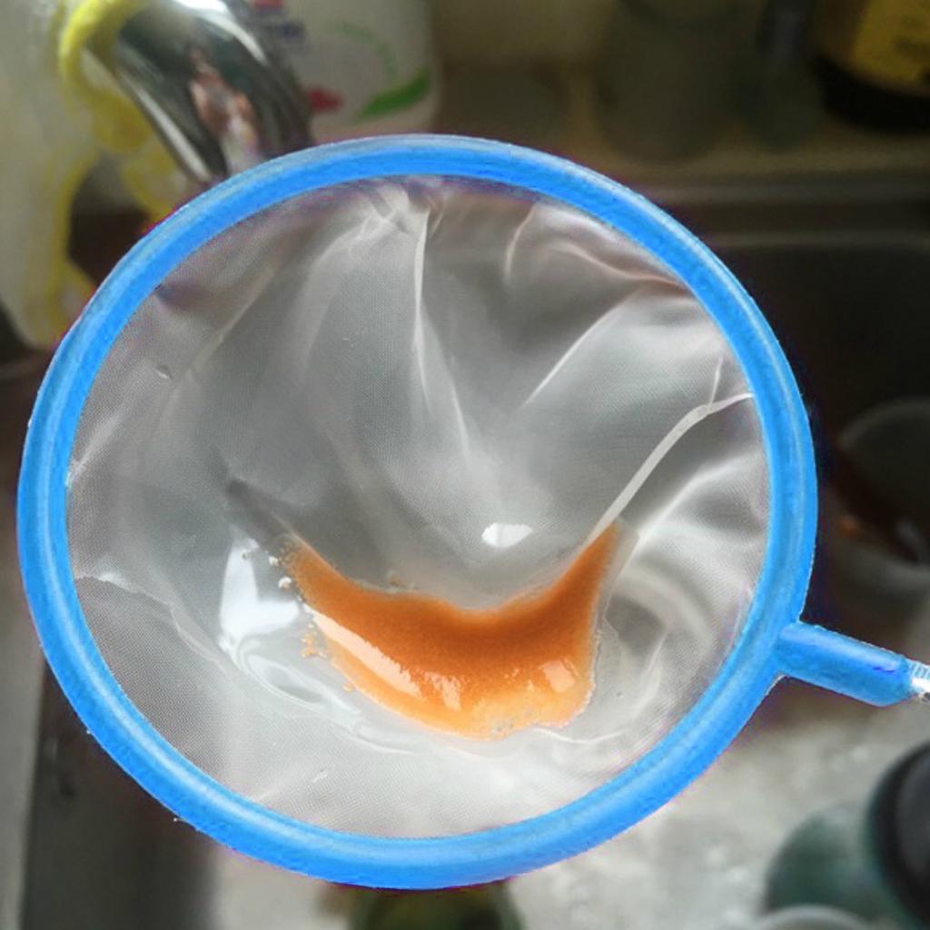 5 Pack Aquarium Fishing Net 4 Inch Diameter Fine Mesh Small Catching Net with Plastic Handle for Mini Tropical Fish