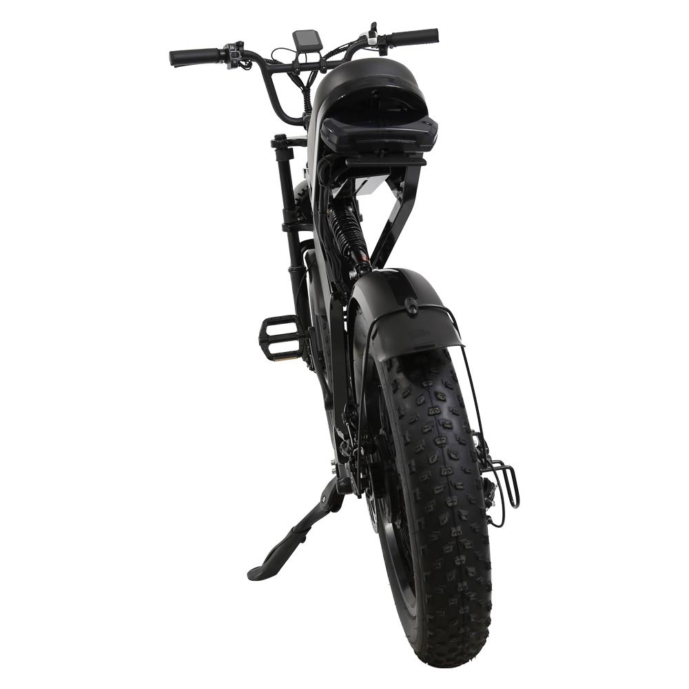 YAMALI FXH-009 20" Fat Tire Electric Bike, 48V 500W Motor, 40km Range, SHIMANO 7-Speed,  Dual Disc Brakes, LCD Display, for Urban Commute