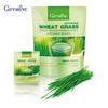 Giffarine Wheat Grass Powder Drink 10 Sachets 41808 - Thai
