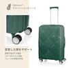 Чемодан-переноска INSTAGON Spinner Expandable TSA 69 см Sage Green [American Tourister] 69/25 79/87 л 3,9 кг