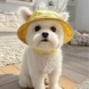 Adjustable Pet Hat with Ear Openings for Dogs and Cats
