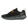Мужские кроссовки HOKA Challenger ATR 6 Black Thyme 1106510-BTYM