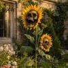 Scary Sunflower Sculpture Skull Ornament, Halloween Theme Garden Decor, Potted Housewarming Ornament Plant Waterproof Outdoor Decoration,