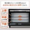 IRIS OHYAMA Convection Oven Airfryer Steam Toaster Silver FVC-D15B-S