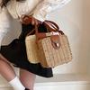 Straw Crossbody Bag For Women Bohemian Small Knitting Summer Purse And Handbag Vacational Square Beach Bags
