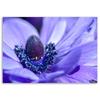 Canvas print, Blue-violet flower