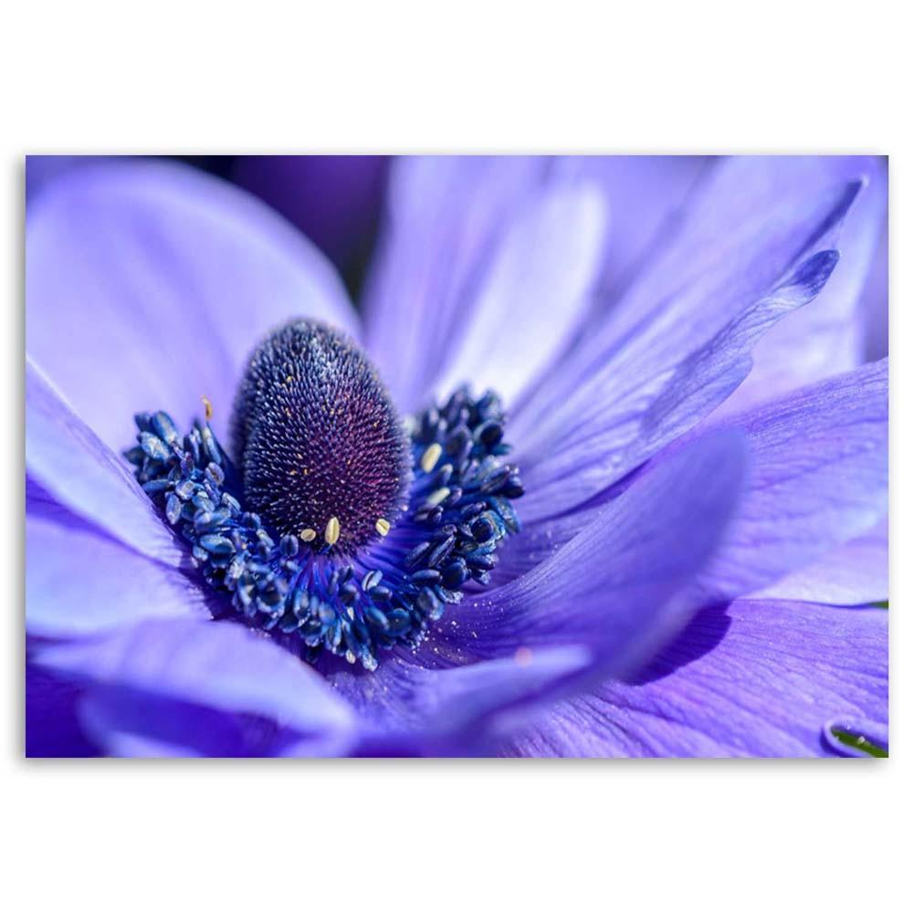 Canvas print, Blue-violet flower
