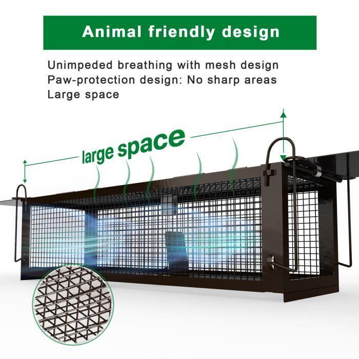 Piège à Rats - No Kill - Réutilisable - Design Anti-évasion - Pour souris, campagnols, écureuils, Usage Intérieure/Extérieure, XL