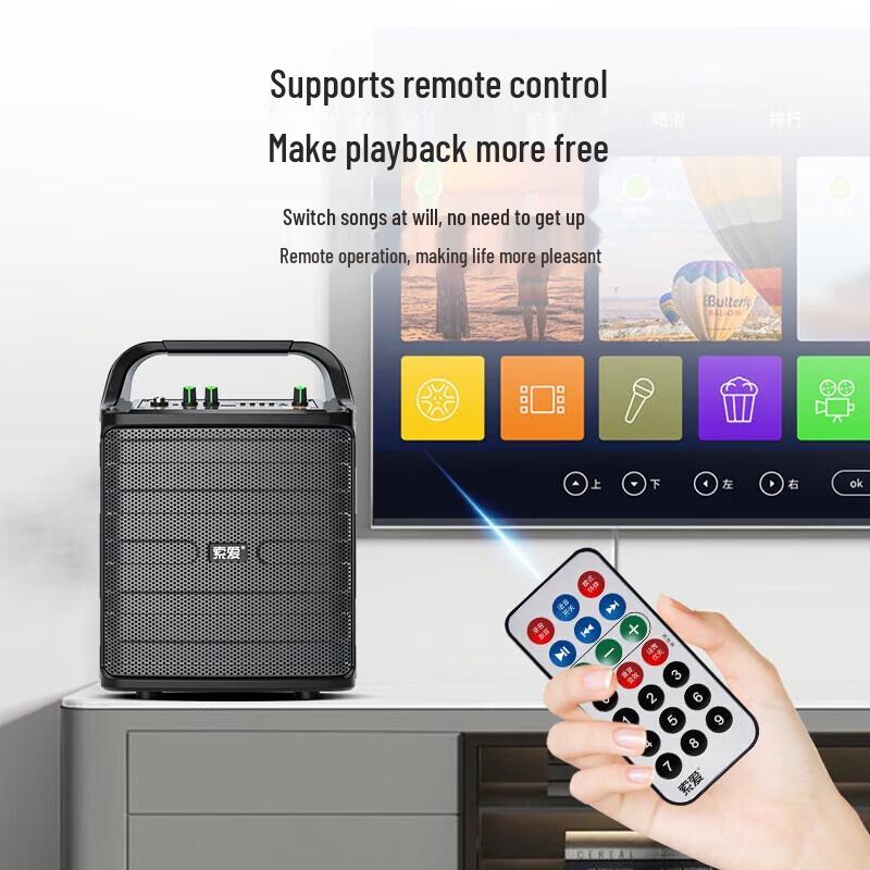 Soaiy SA-F33 Portable KTV & Live Stream Speaker