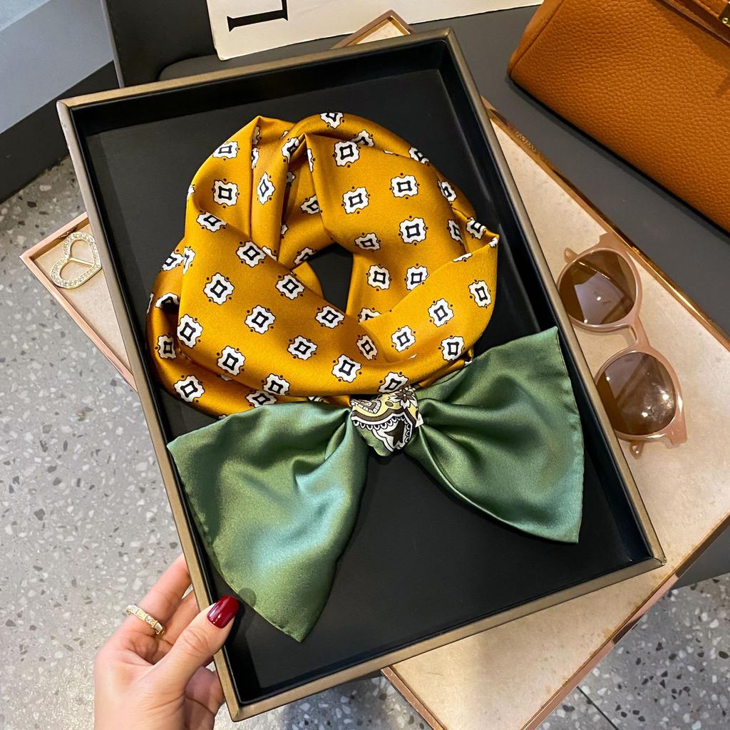 Long small silk scarf women's spring and autumn versatile thin and narrow scarf with shirt, foreign style fashion headband, new decorative silk scarf