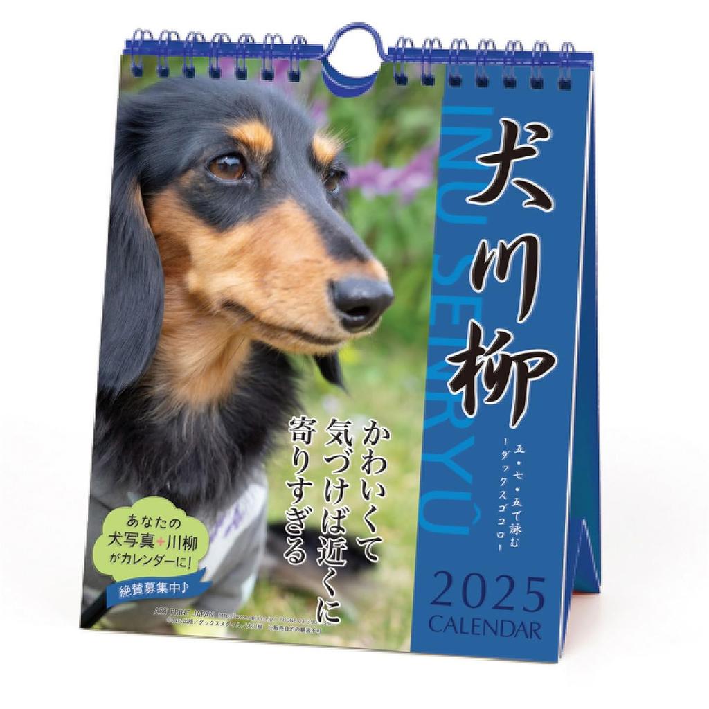 2025 Утки Сэнрю (Еженедельно) Календарь №024