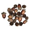 Acorn Cones Mix, Assorted. 2 - 4cm, 27 Pcs