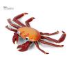 Puntos Kids Toy Simulation Hermit Crab Морское животное ПВХ Модель Настольный Декор Образование