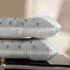 Lavender Buckwheat Jasmine Cassia Seed Health Pillow Core Gift