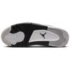 Air Jordan Dub Zero 'White Thunder' 311046-110