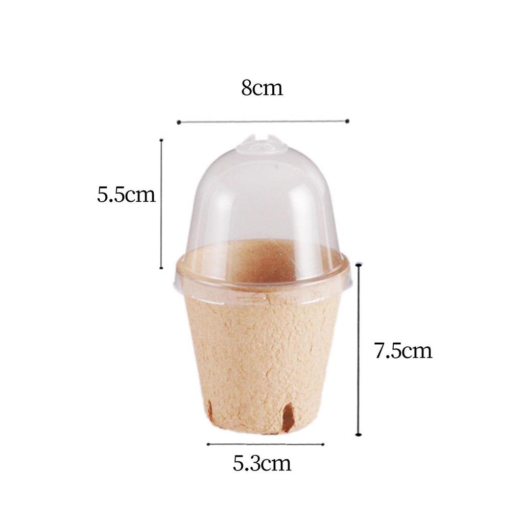 Биоразлагаемый горшок для рассады в питомнике с вентилируемой крышкой