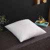 Car Cushion Core - PP Cotton Pillow for Sofa Backrest, Available In Sizes 40, 45, 50.