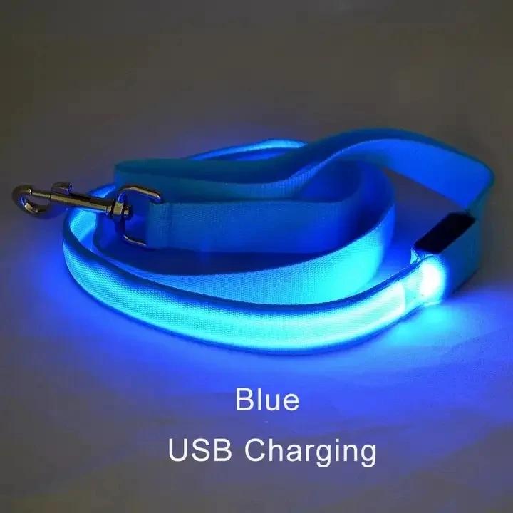 Светодиодная веревка-поводок для собаки с подсветкой, светящийся поводок, USB-зарядка для безопасности собаки, мигающий светящийся ошейник, аксессуары для шлейки