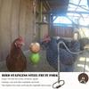 Rust-proof Chicken Veggies Skewer Adjustable Length Bird Feeder for Cage  Birds