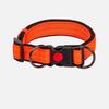 Buckle Nylon Durable Pet Collar Double D Ring Dog Collar Reflective Padded